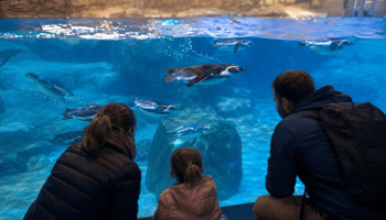 Océanopolis brest
