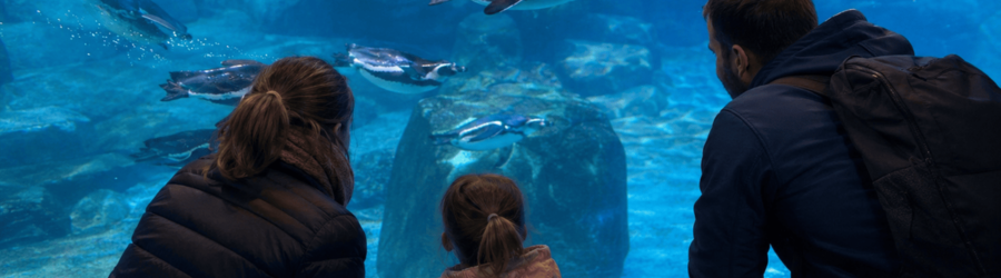 Océanopolis à Brest